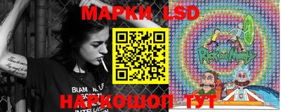 индика Пугачёв