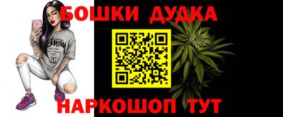 индика Пугачёв