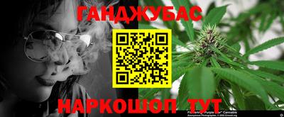 индика Пугачёв