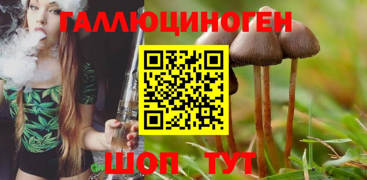 закладка  Псилоцибиновые грибы Cubensis  Вход с VPN  Спасск-Дальний 